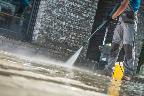 Best Warehouse Cleaning  in Spring Valley, IL