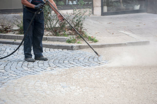 Best Fence Cleaning  in Spring Valley, IL